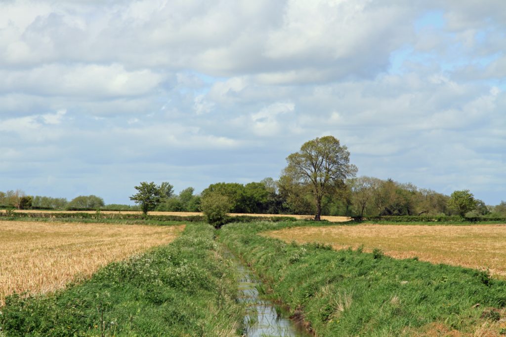 Longford-Moors-Drainage-Ditches-Weald-Moors-Shropshire